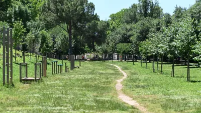 Terni, mille nuovi alberi in città: il Consiglio acquisisce il contributo da 186mila euro della Fondazione Carit