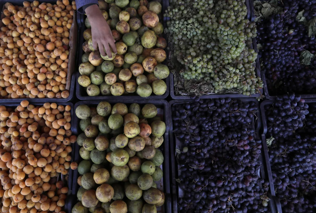 Sicurezza alimentare, l'Umbria si conferma tra le regioni più solide d'Italia: indicatori sotto la media nazionale