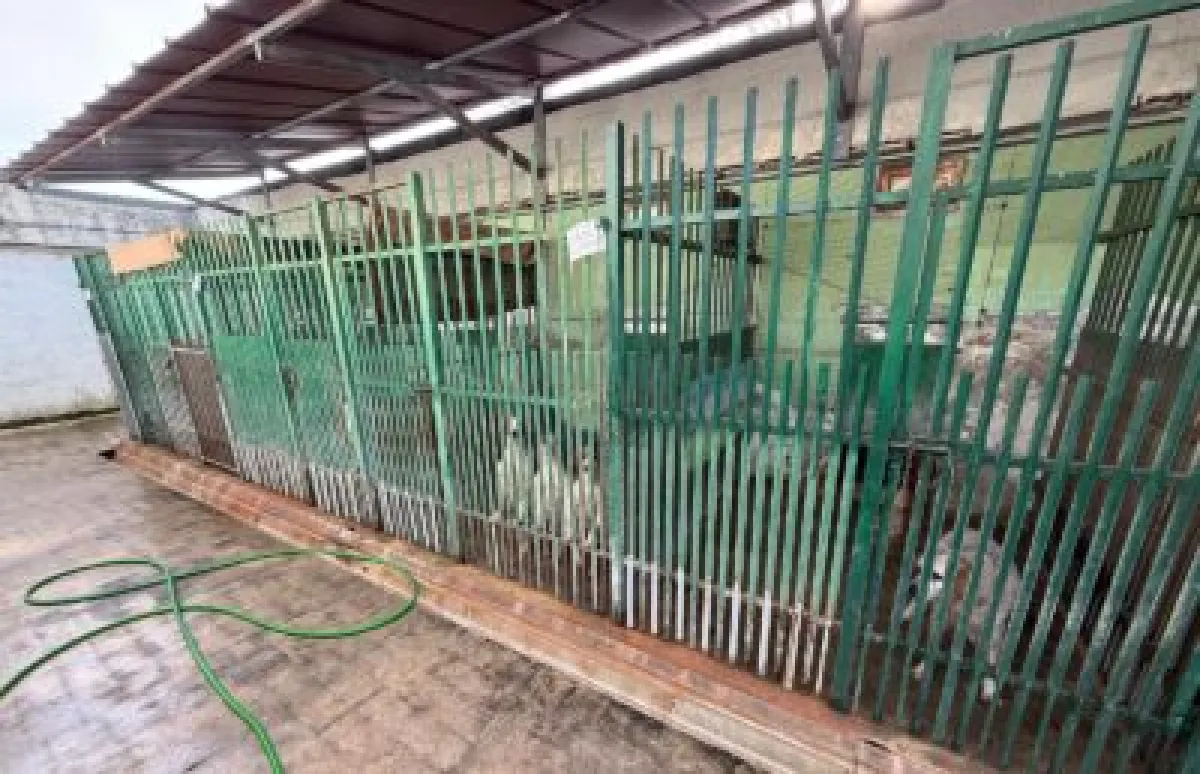 Canile sanitario di Gubbio, scatta l’allarme: senza veterinario a rischio assistenza e benessere degli animali