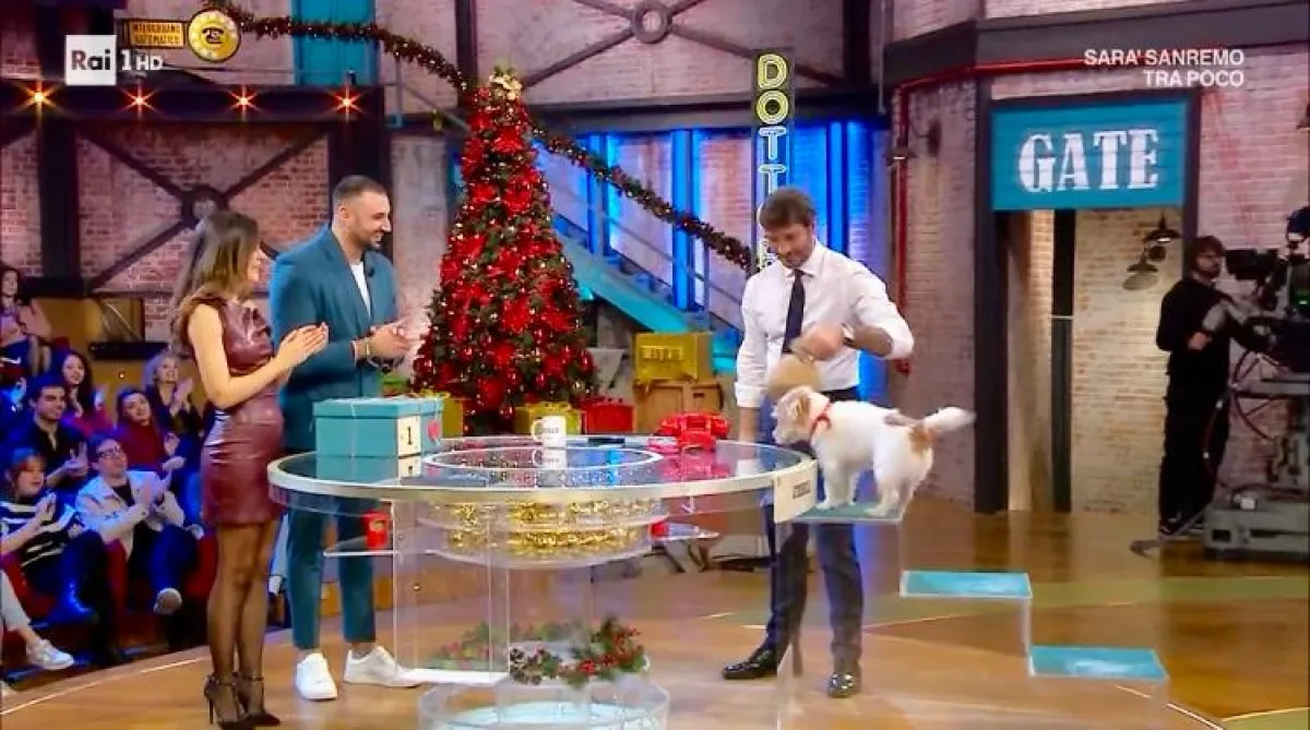 L'Umbria ad Affari Tuoi: ecco quanto ha vinto Cristiano da Foligno