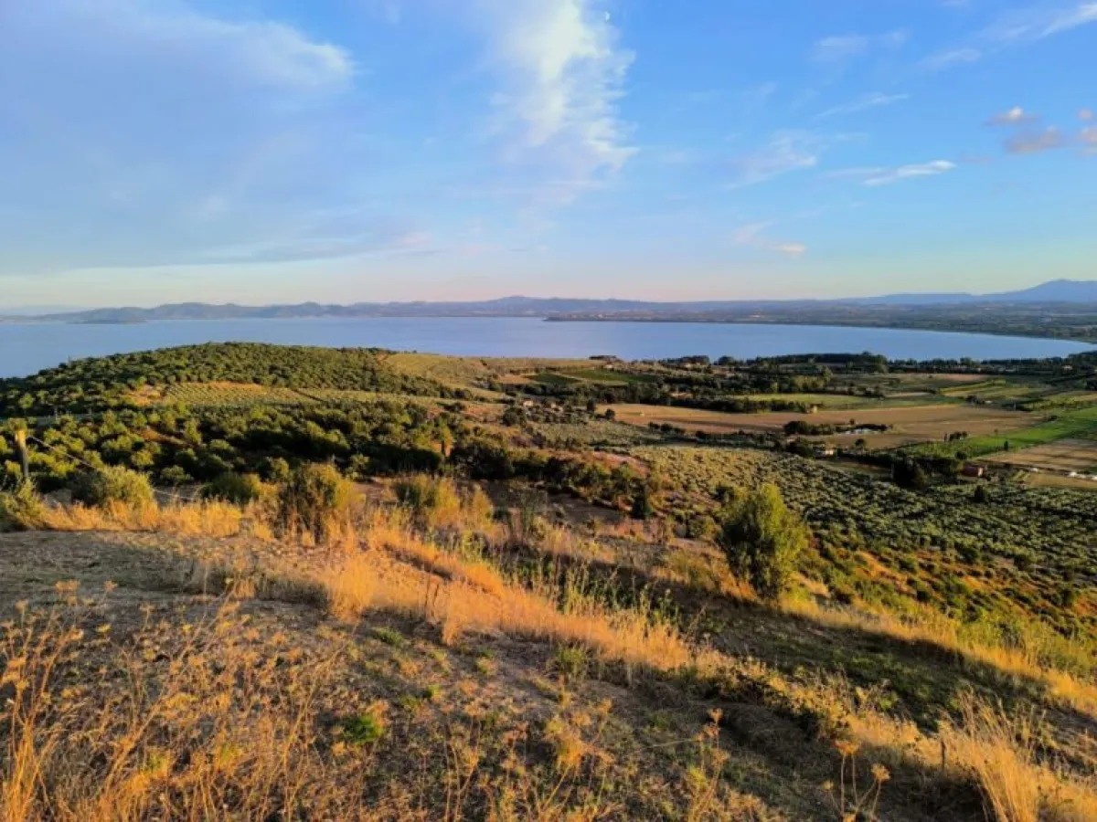 Tuffo di Capodanno nel Trasimeno: tradizione, auguri e attenzione per il futuro del lago