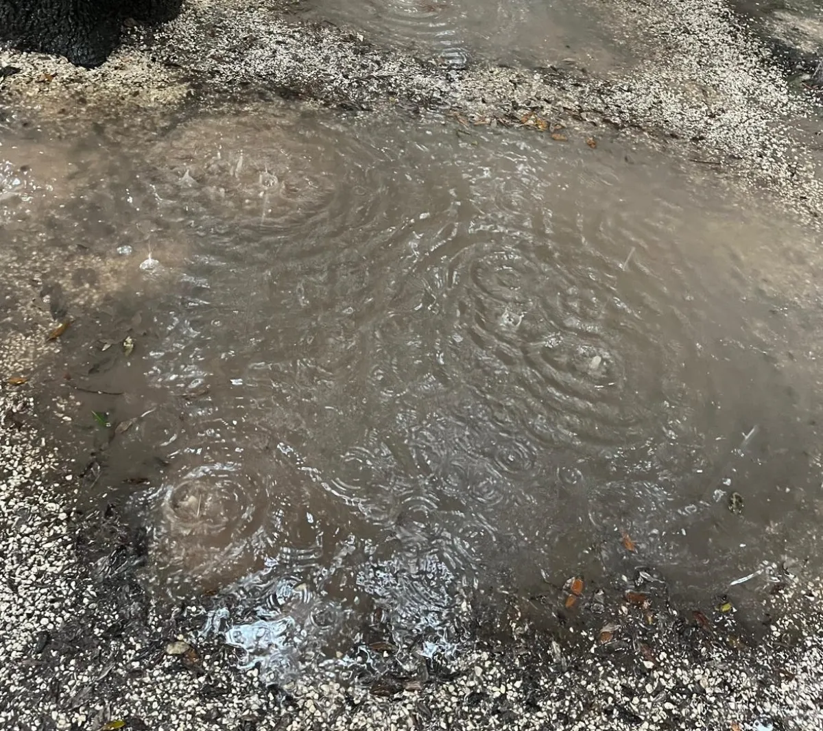 Viale della Rimembranza a Gubbio: marciapiedi pericolosi e illuminazione carente, una ferita aperta nella memoria cittadina