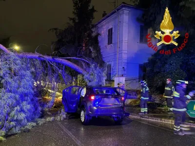 Terni, cade un albero su un'auto in via Carducci: solo grande paura e lievi ferite