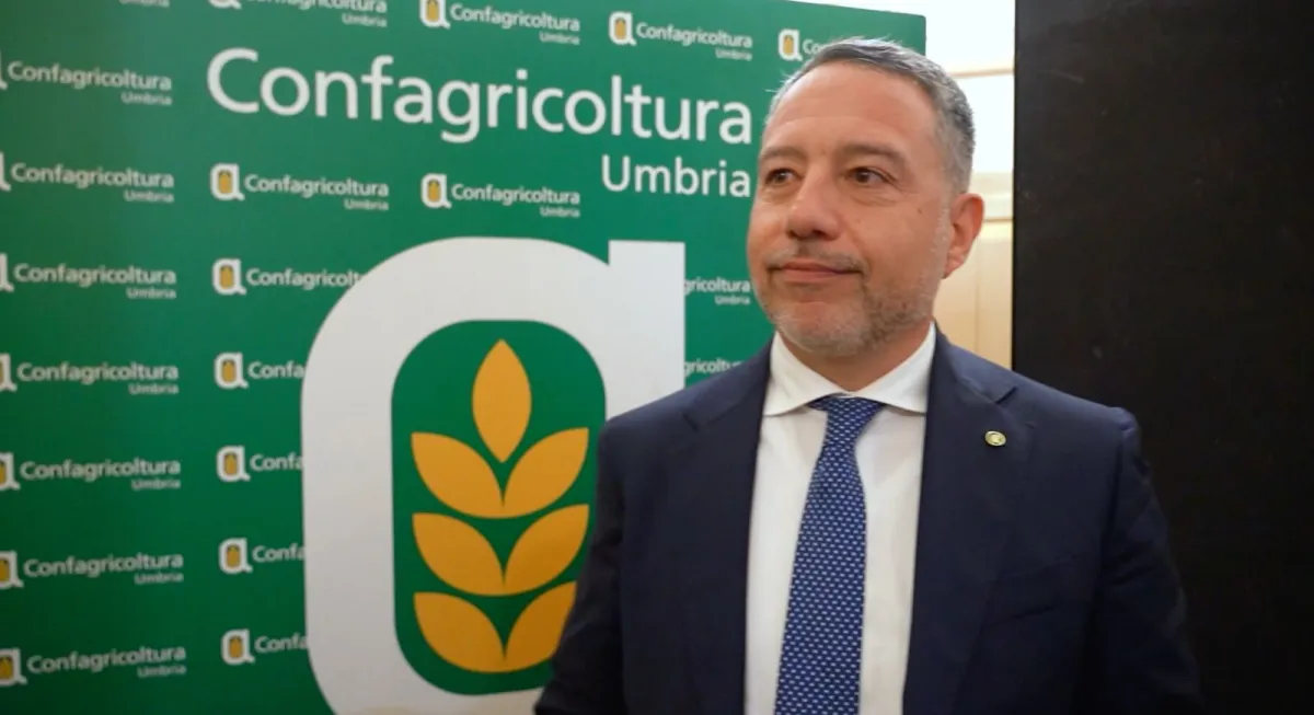 Confagricoltura Umbria, Matteo Pennacchi è il nuovo presidente: "Sfida complessa, ma stimolante"