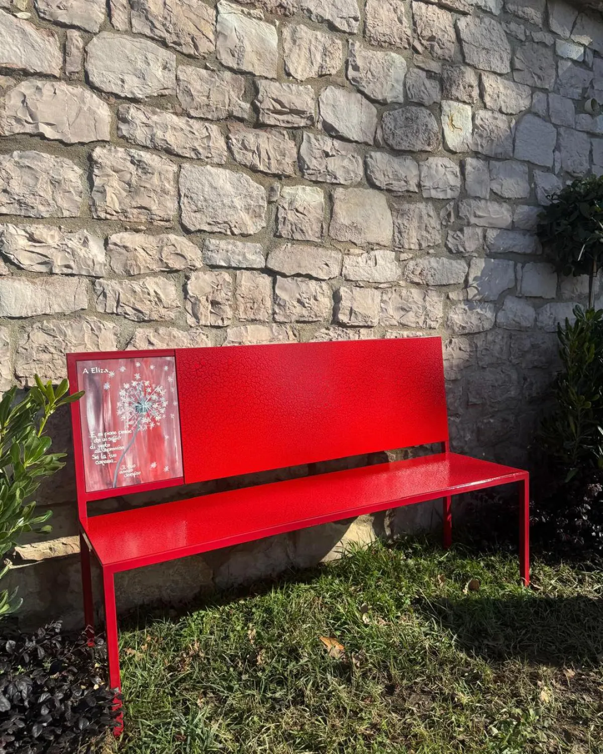 Femminicidio di Eliza Feru, il Serafico di Assisi le dedica una panchina rossa e un ciliegio