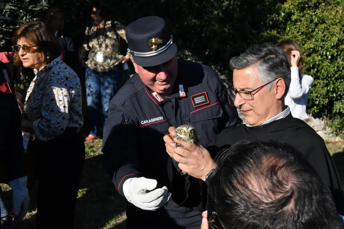 Carabinieri Forestali in Umbria, il bilancio 2025: oltre 35 mila controlli per difendere ambiente, fauna e territorio