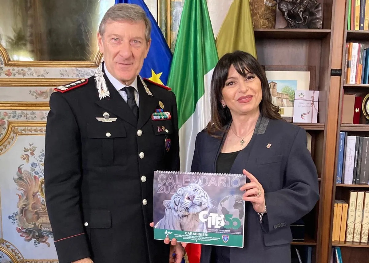 Regione Umbria verso il rinnovo della convenzione con i Carabinieri Forestali. Proietti "Sinergia per tutelare ambiente e agricoltura"