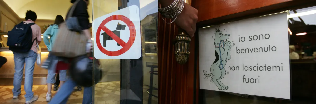 "San Francesco primo garante degli animali, il Comune di Assisi adotti un regolamento a loro tutela". L'appello della Lav di Perugia