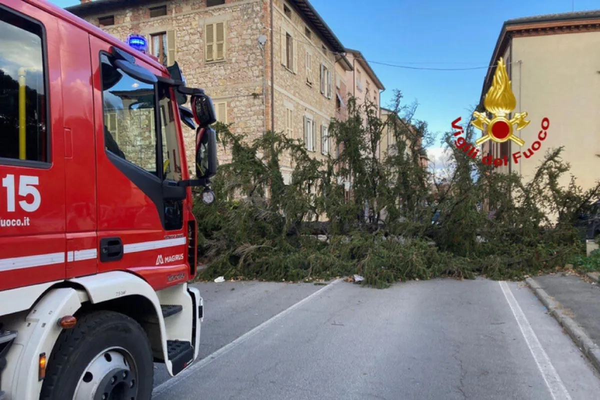 Perugia, alberi caduti dopo il maltempo: intervento di somma urgenza da 120mila euro per l’area del Pincetto