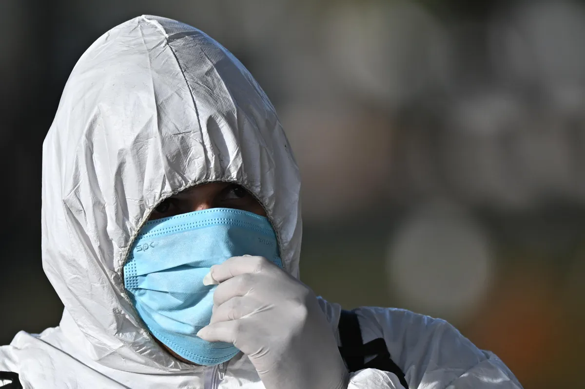 Umbria, scatta l’allerta aviaria: individuato focolaio H5N1 in un allevamento di fagiani. Cosa c’è da sapere