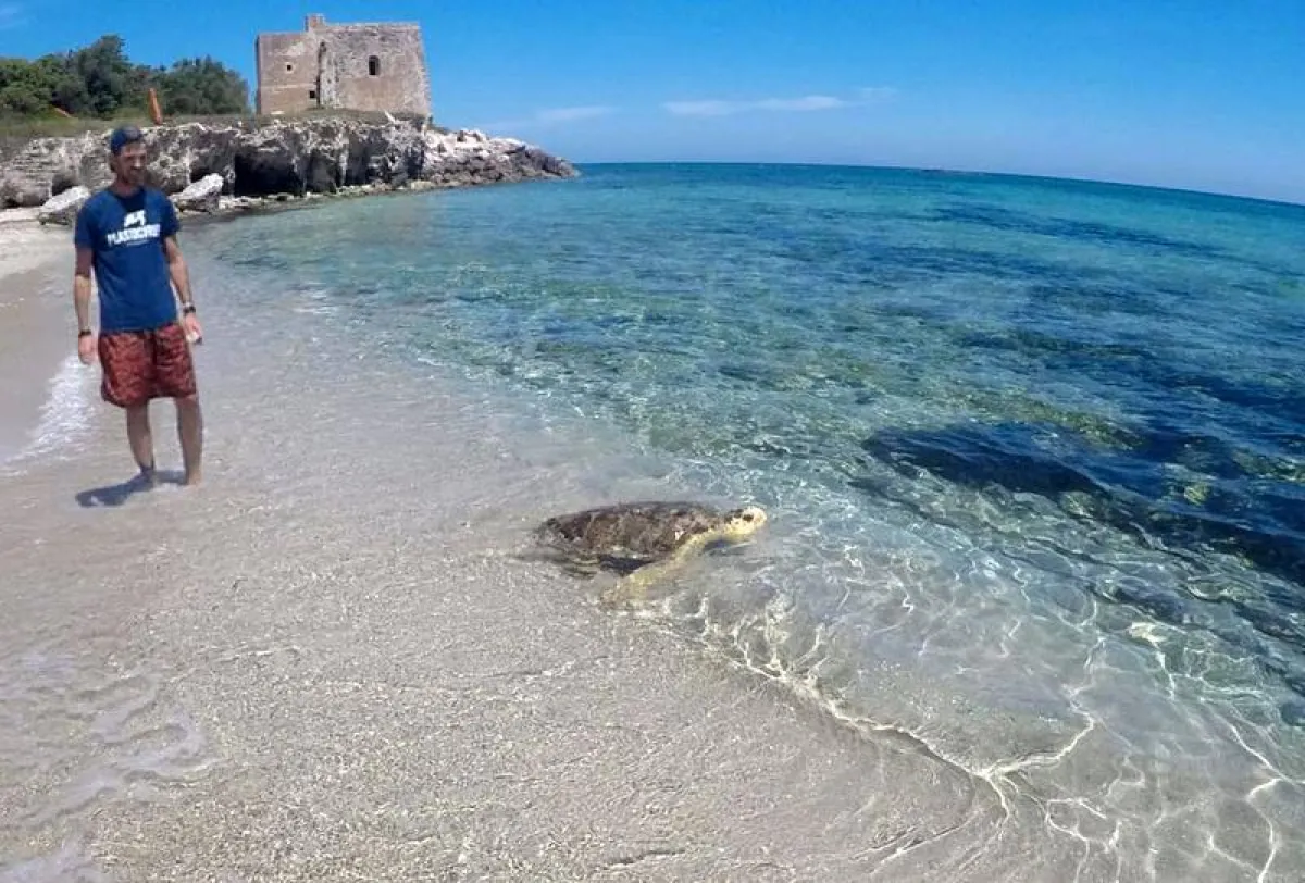 Comuni Plastic Free 2026: tre città umbre premiate a Roma per la lotta all’inquinamento da plastica