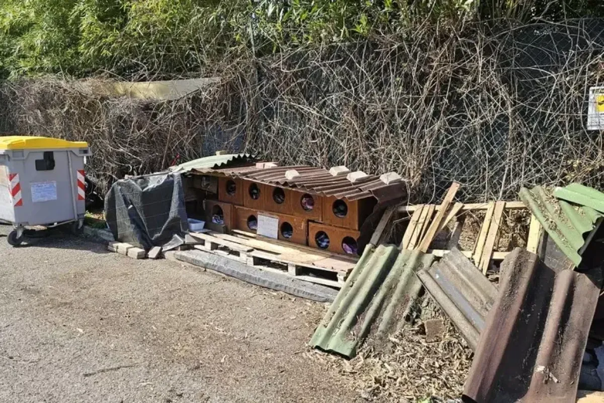 Danni alla colonia felina di Ponte San Giovanni, i volontari: “Chi cura gli animali merita supporto concreto”