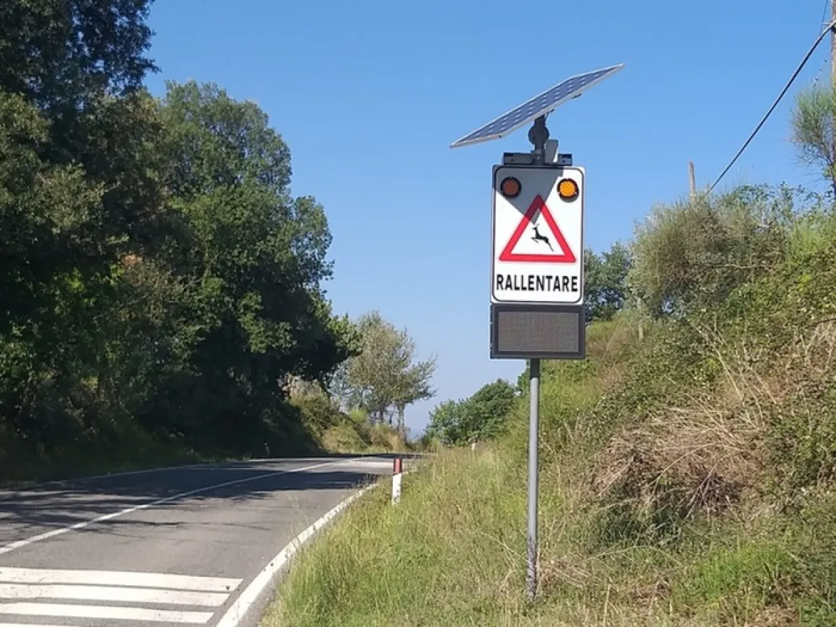 Terni, attivato il terzo sistema Avc: tecnologia e sensori contro gli incidenti con animali selvatici