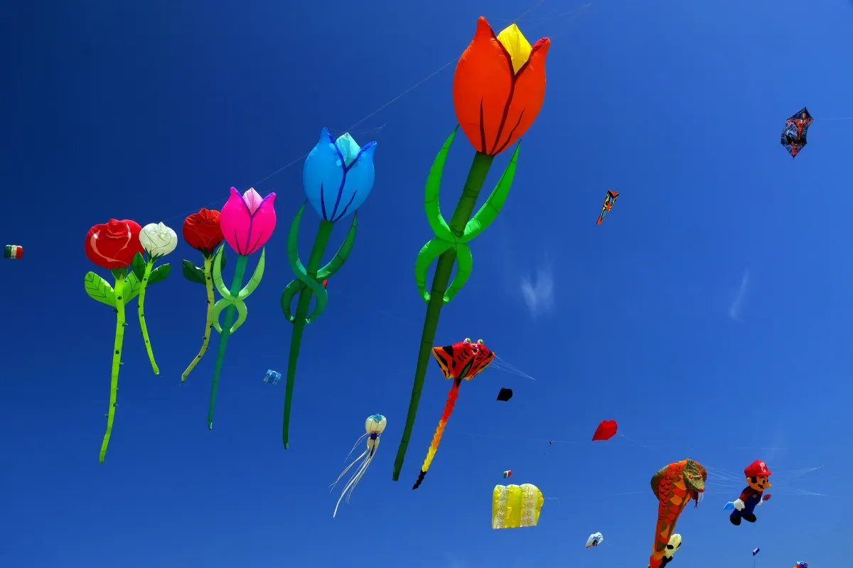 Ventomania 2026 si chiude a Gubbio: 40 anni di aquiloni, spettacolo e tradizione con gli Sbandieratori protagonisti