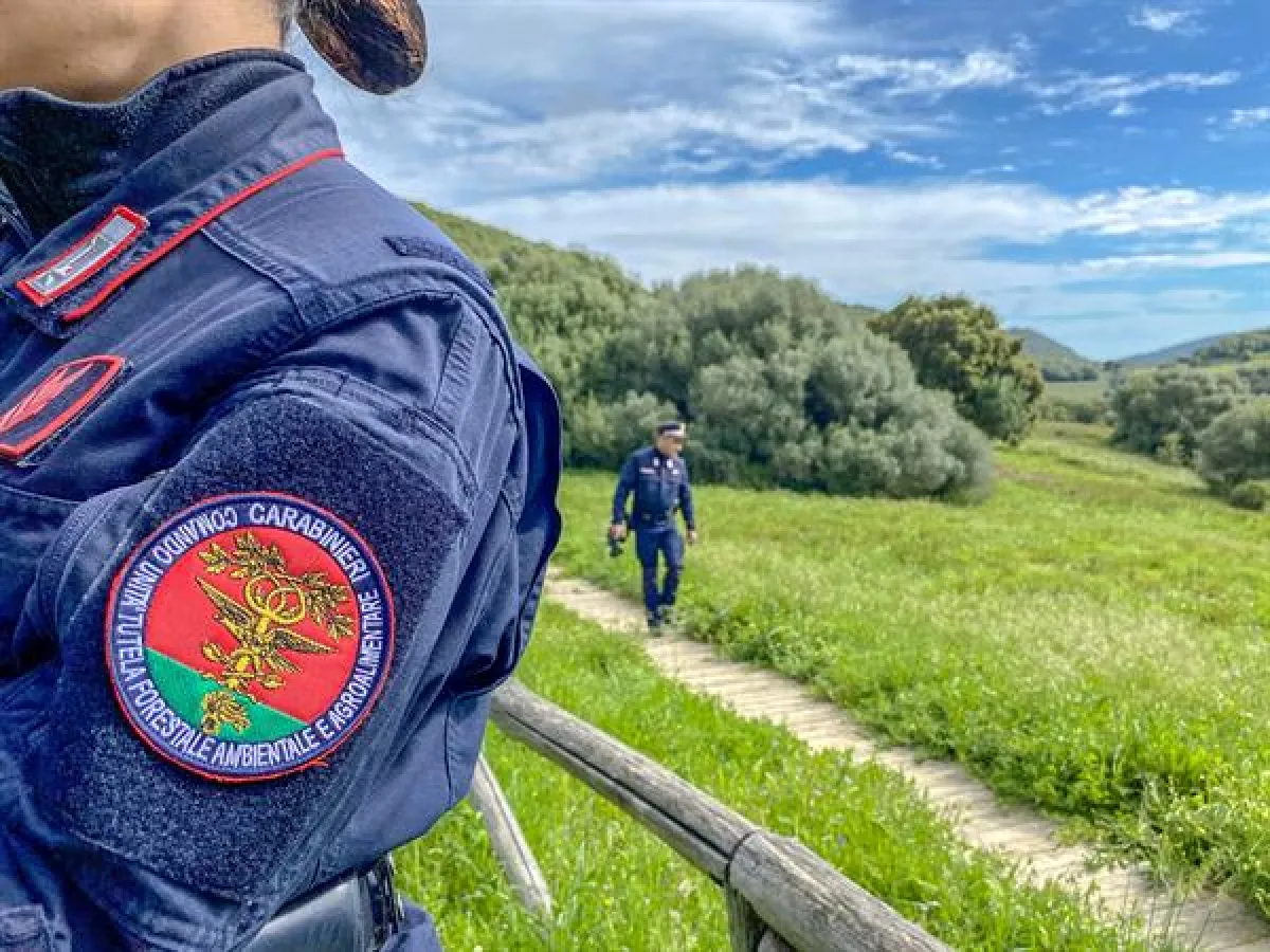 Rifiuti pericolosi e amianto, blitz dei carabinieri forestali a Campello sul Clitunno: sequestrata discarica abusiva da 800 metri cubi