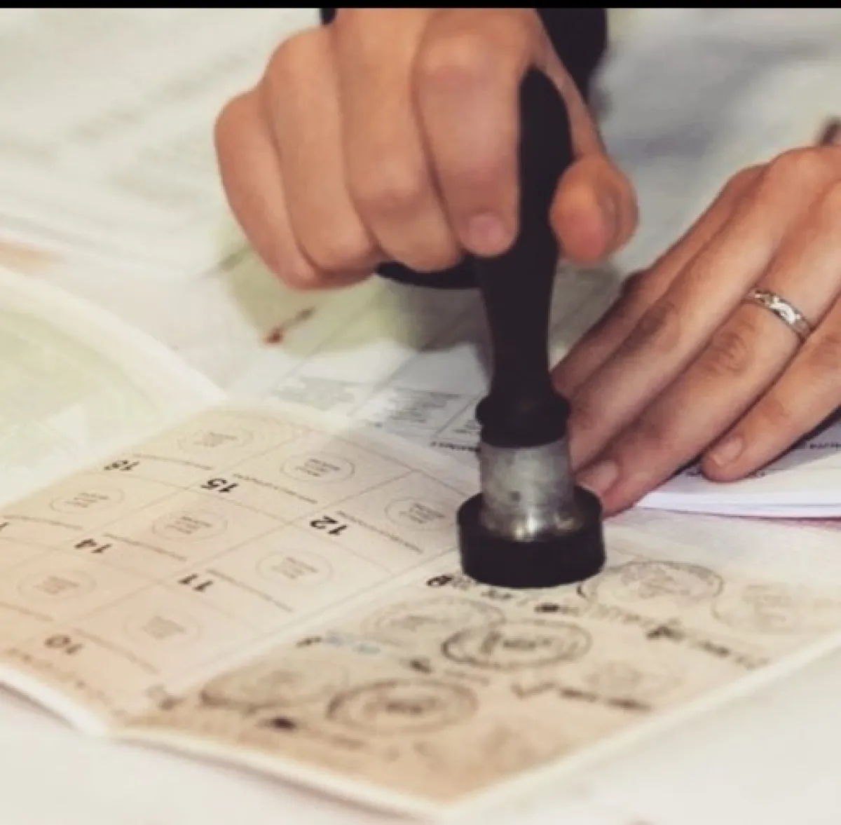 Referendum, LeD esultano e attaccano la Giunta Fiorucci: “Ma il voto non era un giudizio politico”