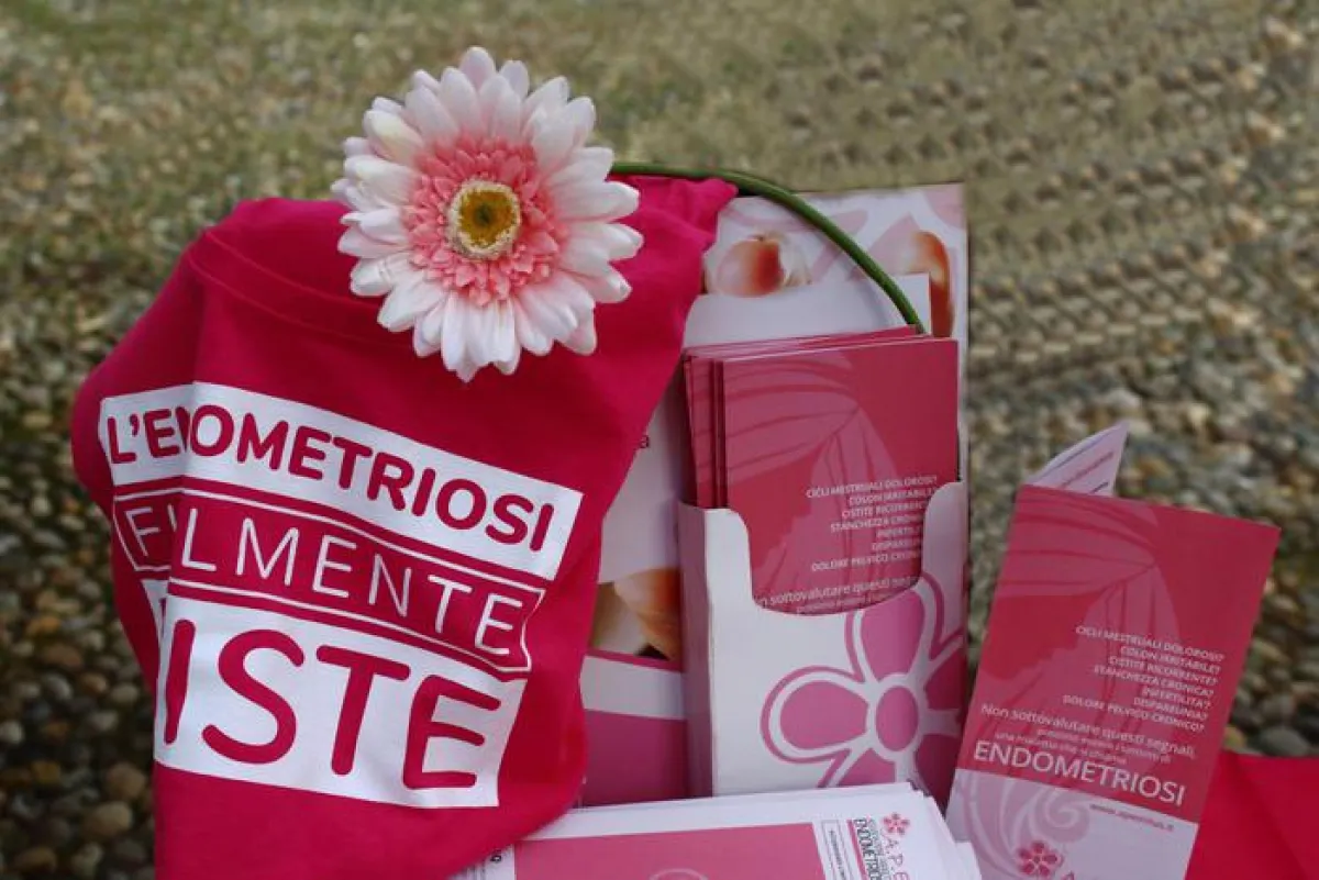 Endometriosi, appello dal Consiglio regionale dell'Umbria: potenziare prevenzione, cure e tutele per una patologia cronica e invalidante