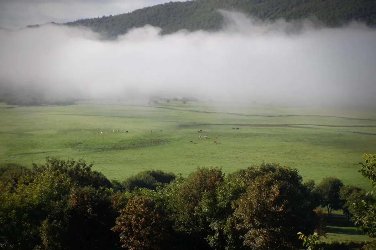 Freddo e neve sull'Umbria, ma migliora nel fine settimana. Il meteo per gli ultimi giorni di marzo