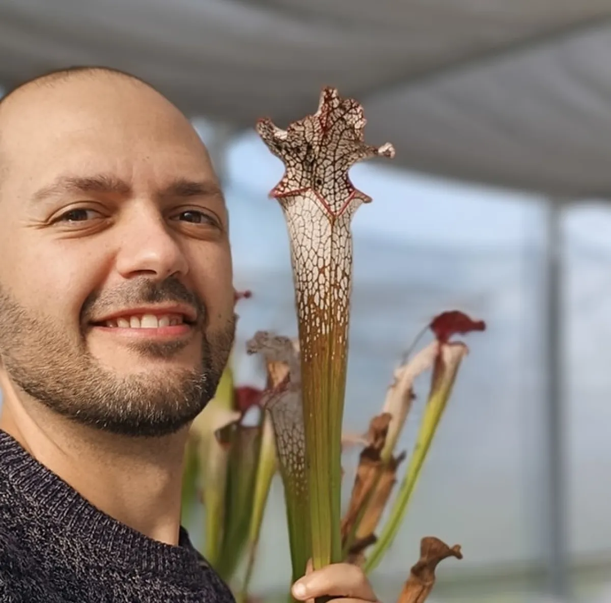 Esotik Garden riapre a Gualdo Tadino: il vivaio delle piante carnivore che incanta visitatori e appassionati