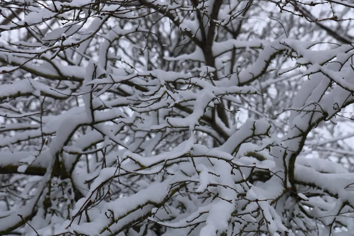 Allerta arancione in Valnerina per neve e vento: le previsioni meteo
