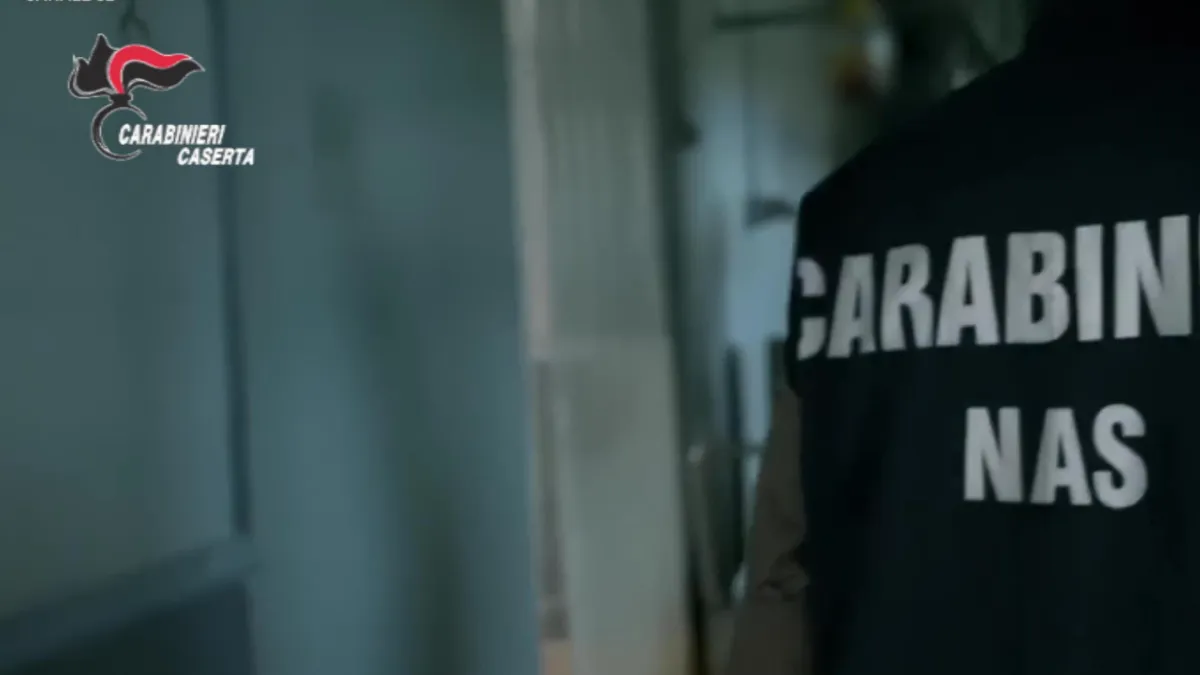 Controlli Nas per Pasqua, topi e cibo scaduto nell’Amerino: chiuso laboratorio gastronomico