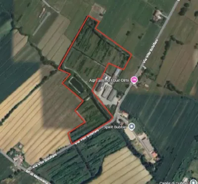 Gubbio, ex vivaio di Torraccia all’asta: possibile svolta dopo anni difficili