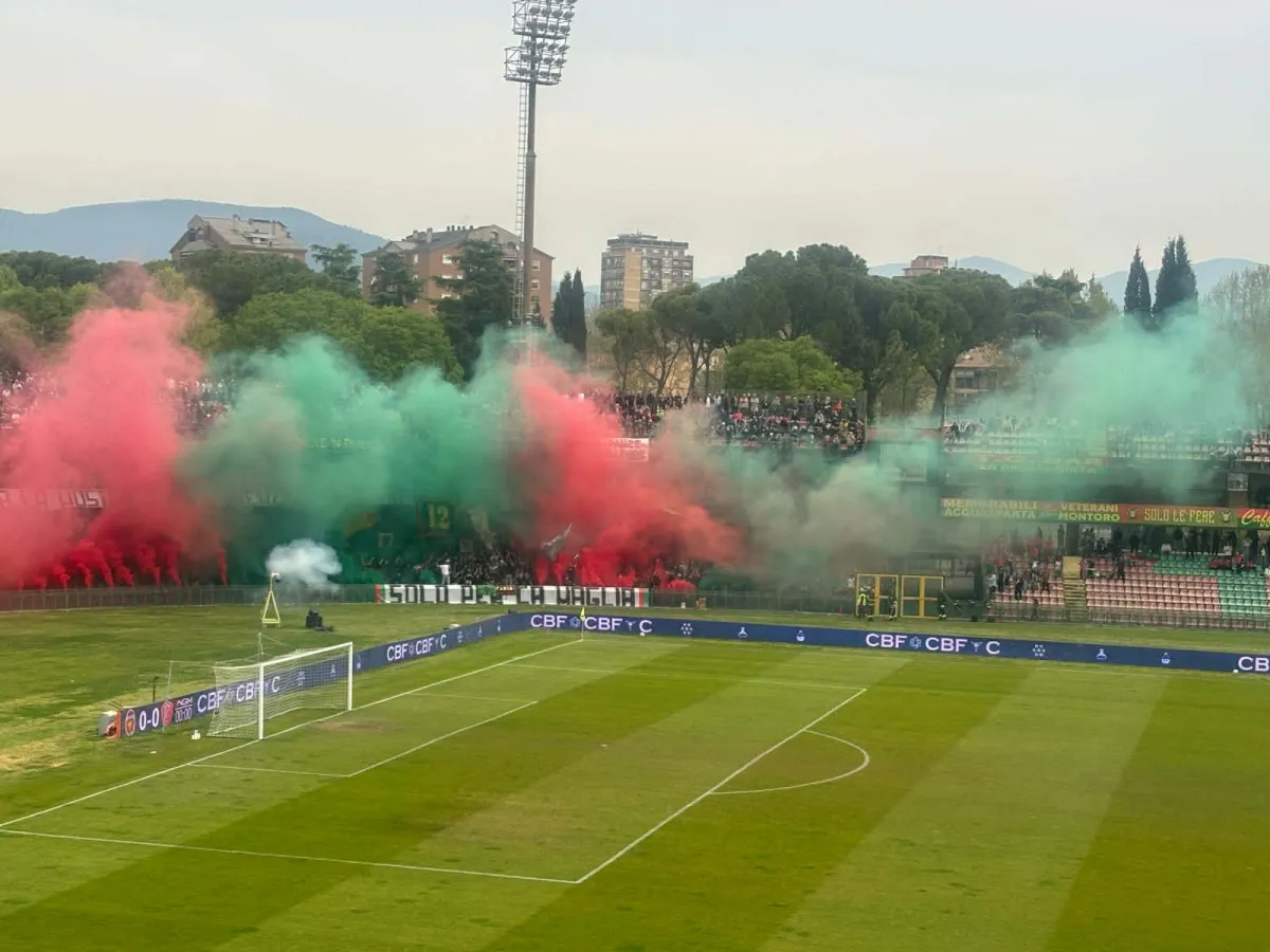 Ternana, le reazioni dei parlamentari Ascani e Verini: "Scongiurare il disastro"