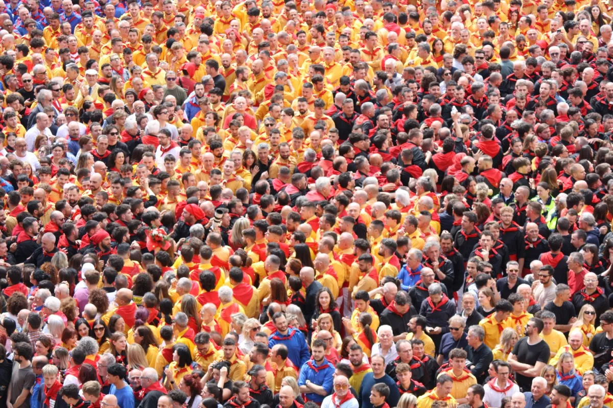  Festa dei Ceri, si torna al percorso tradizionale in piazza: addio alla “deviazione panoramica”