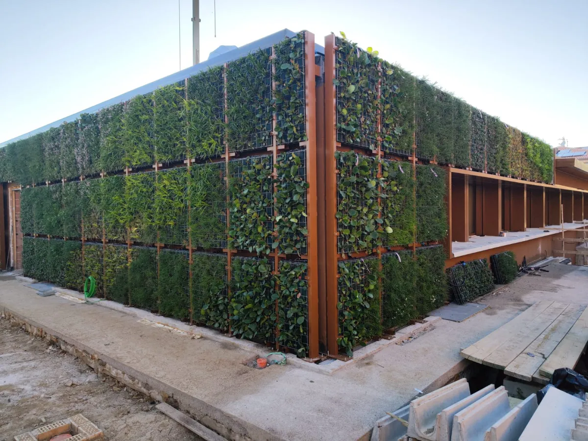  Gubbio scopre il primo giardino verticale: in via dell’Arboreto nasce una nuova idea di città