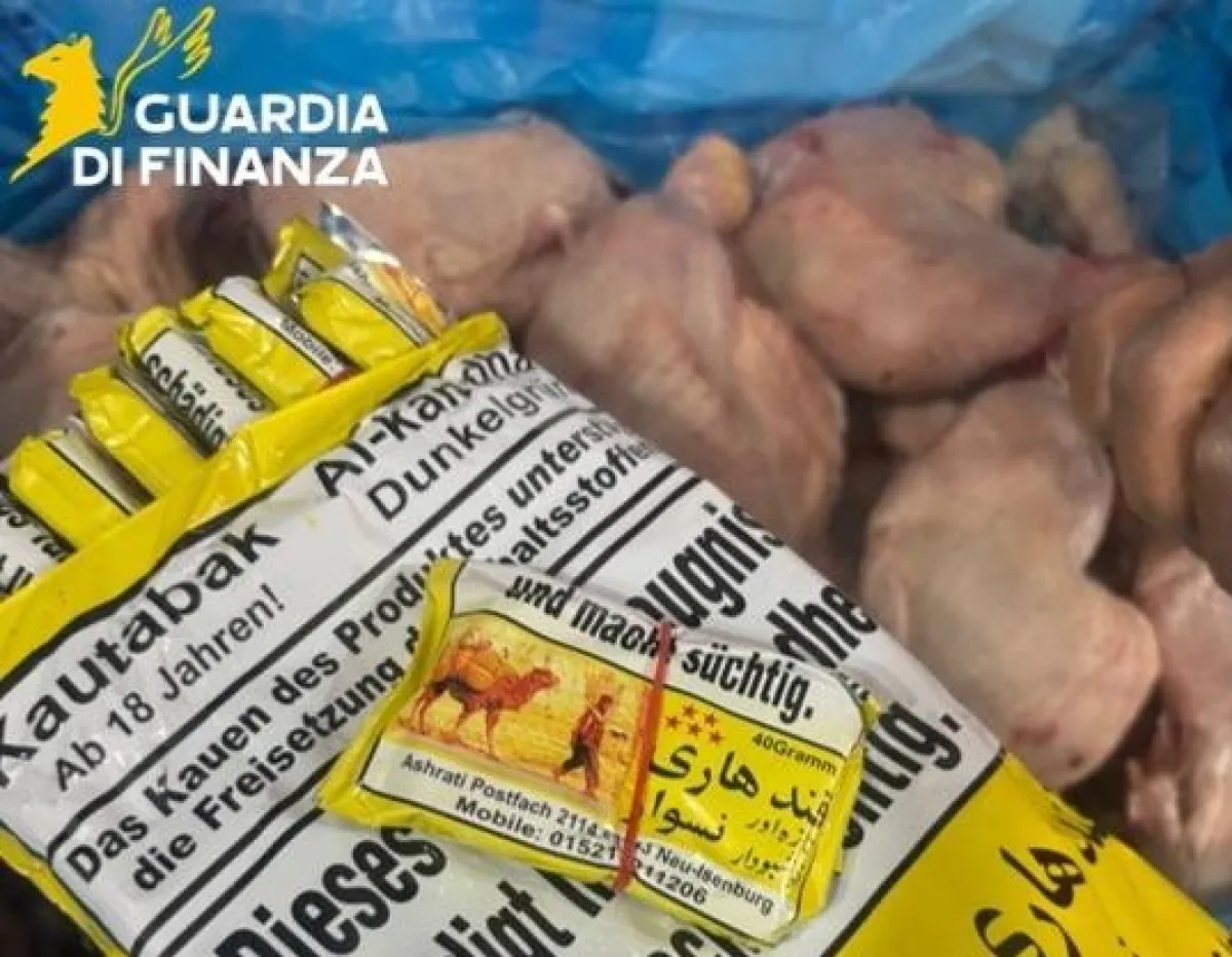 Contrabbando di tabacco da masticare a Terni: sequestrati 40 kg di “naswar” in un negozio, denunciato il titolare