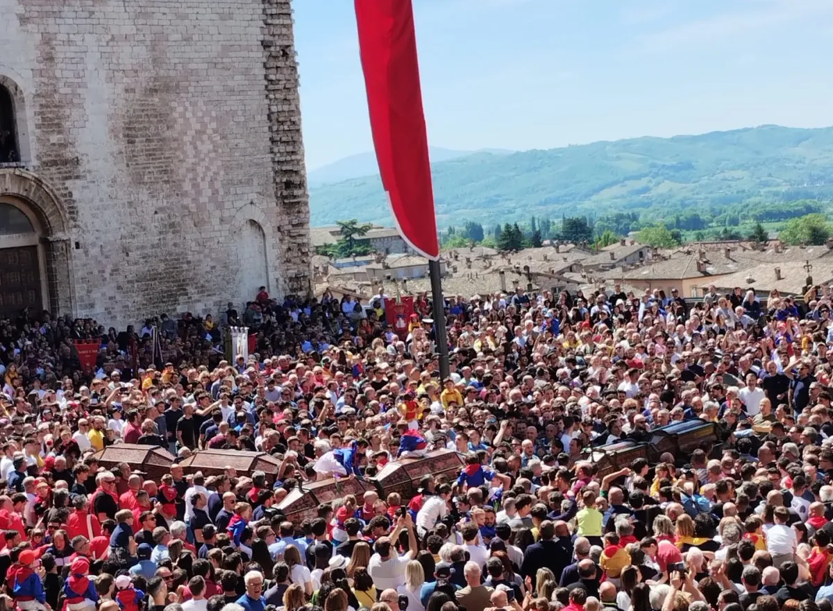 Discesa dei Ceri 2026 a Gubbio: migliaia in festa tra Basilica, Tamburini e Piazza Grande