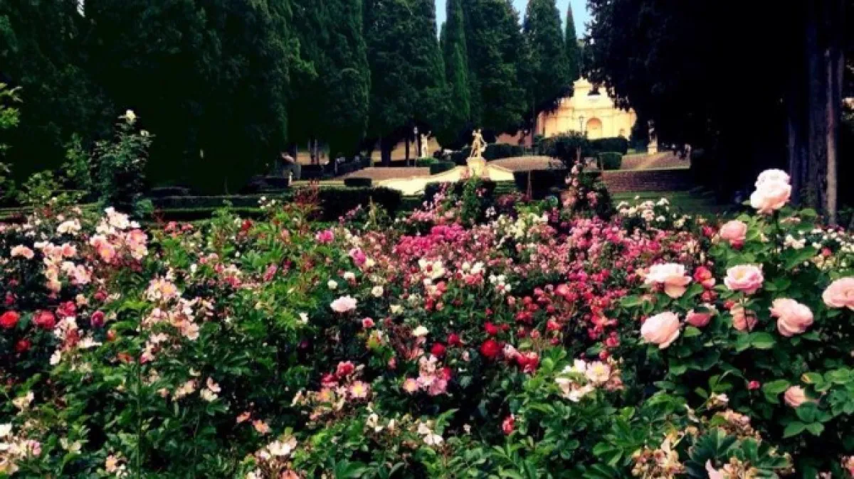 Salta a Spello l’edizione 2026 de “I Giorni delle Rose”, Emanuela Mori: “Un’assenza che pesa sul calendario culturale umbro”