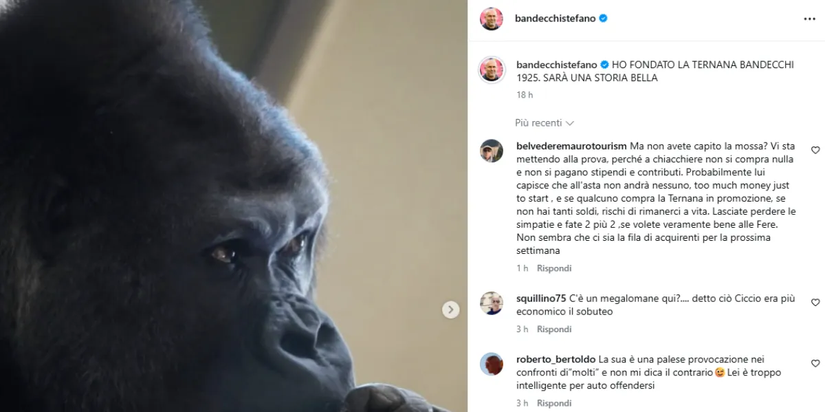 Ternana, dopo la "provocazione" social del sindaco Bandecchi riparte il refrain del PD sul conflitto d'interessi