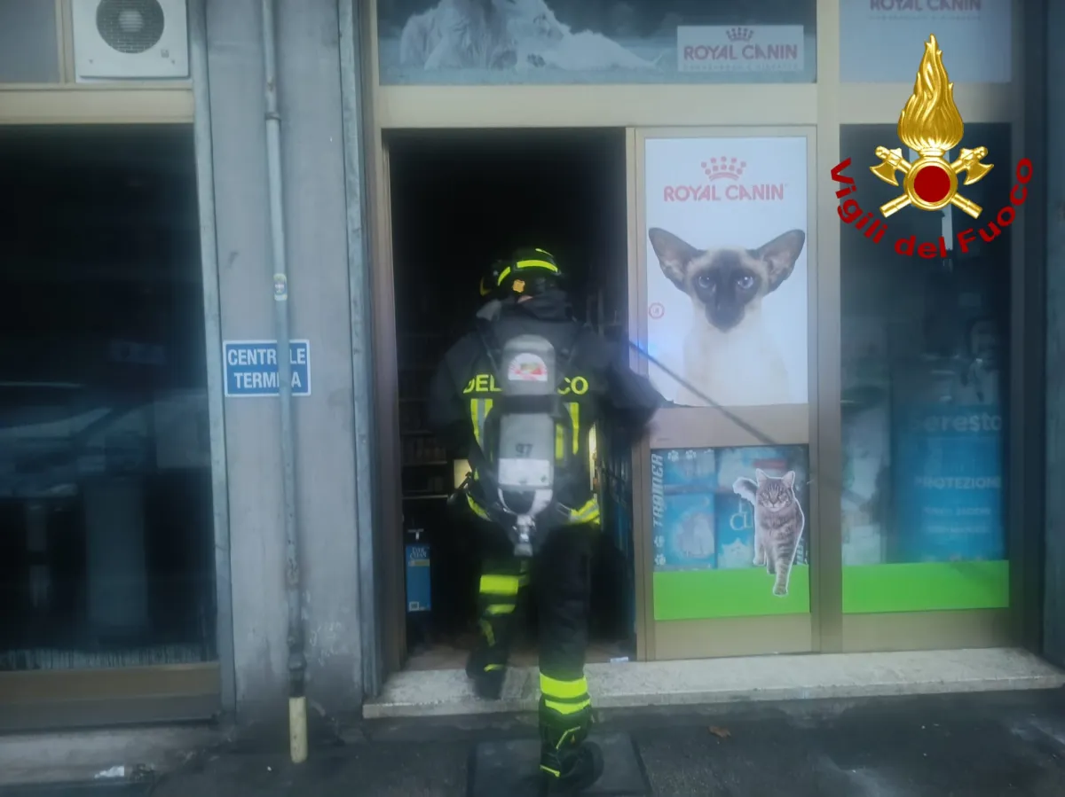 Terni, incendio nella notte in un negozio per animali in centro