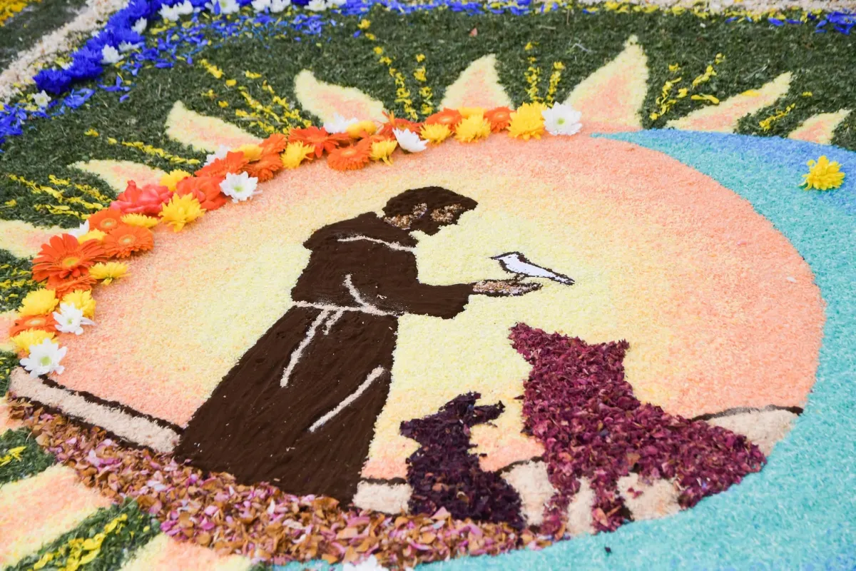 Infiorata di Sigillo 2026: un cammino di fiori nel segno della Pace e di San Francesco