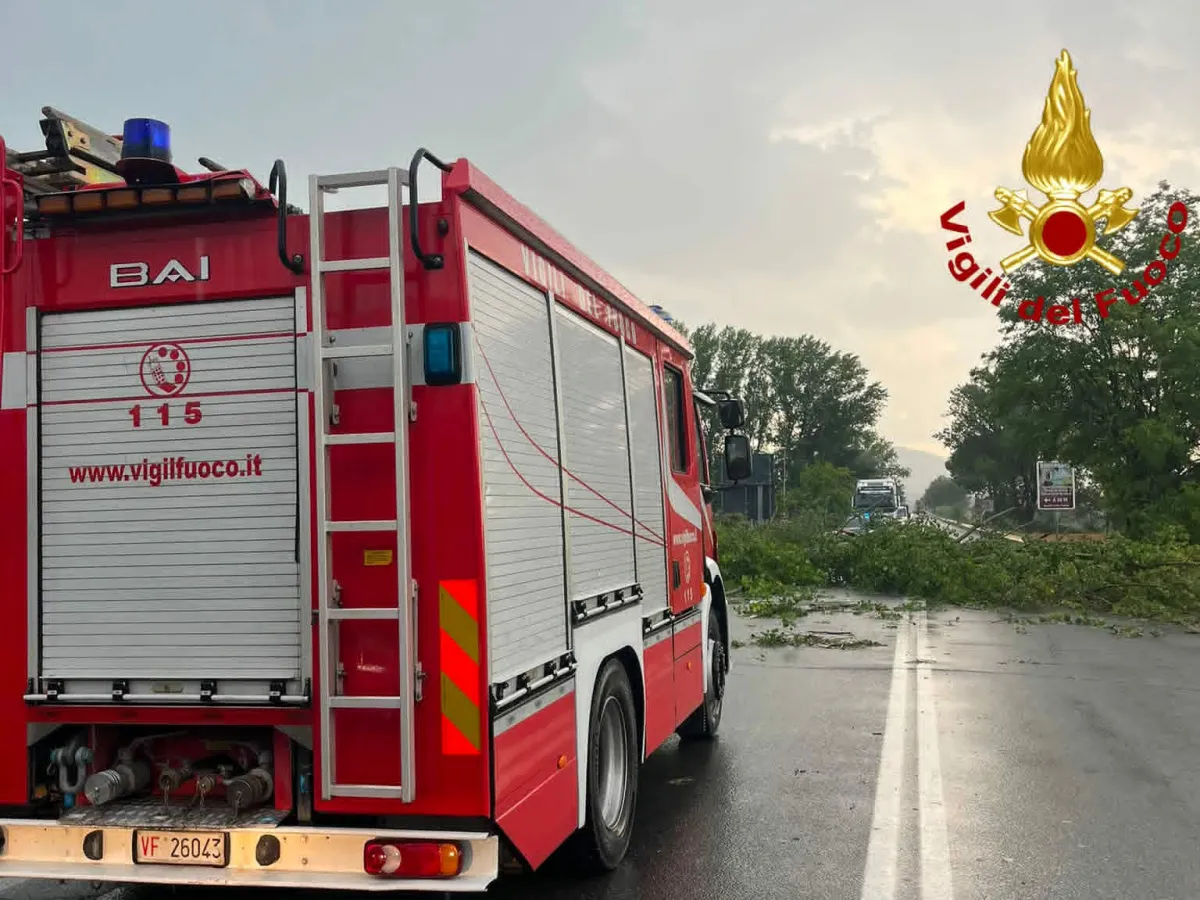 Paura a Terni nel pomeriggio: un violento nubifragio fa cadere due alberi su un semirimorchio