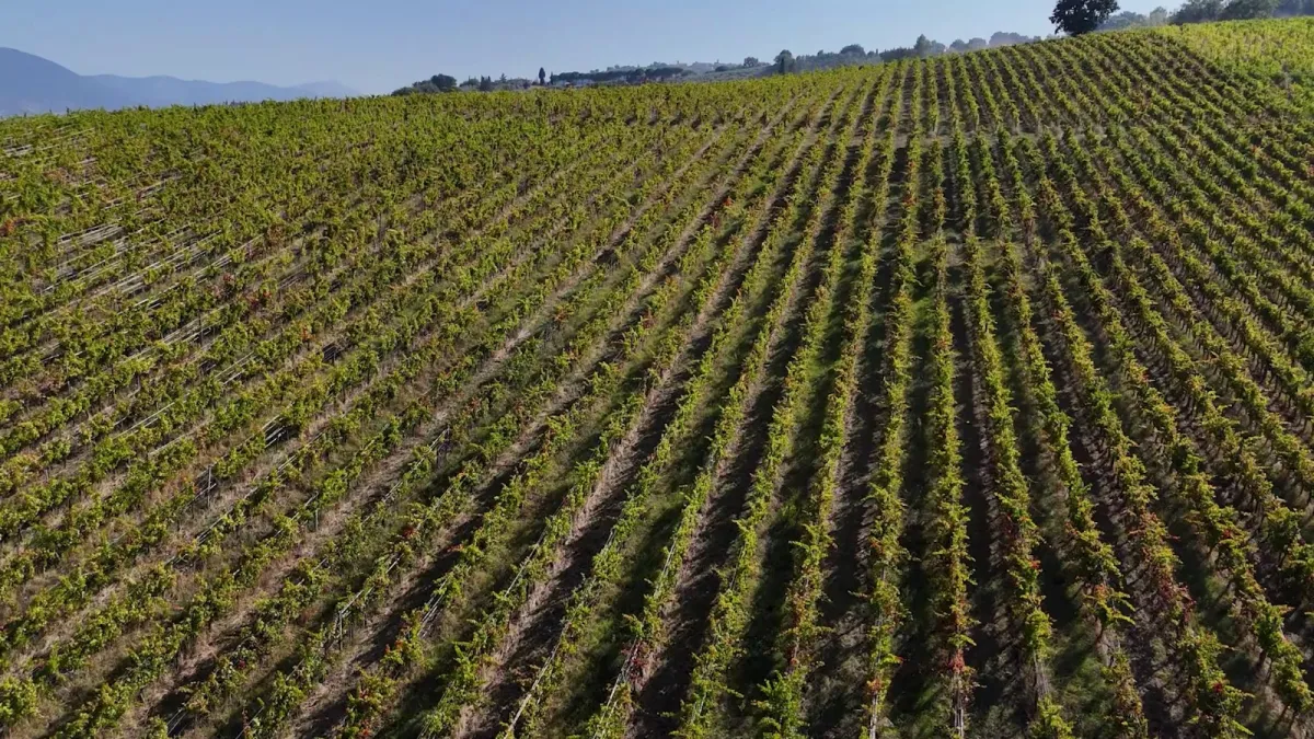 "Intrecci di terre e sapori 2026", sette borghi fanno rete per valorizzare l'Umbria: a Perugia la presentazione del nuovo cartellone