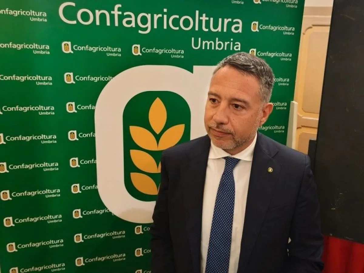 Vino umbro, Confagricoltura chiede un tavolo regionale: "Serve una strategia condivisa per rilanciare il comparto e affrontare la crisi dei mercati"