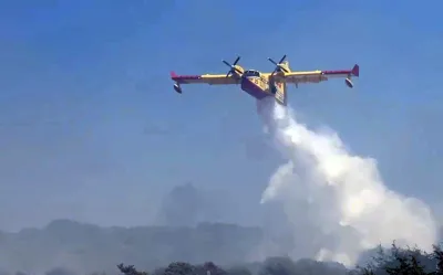 Incendio sul Monte Cucco, fiamme nella zona di Val di Ranco: richiesto l'intervento di un Canadair